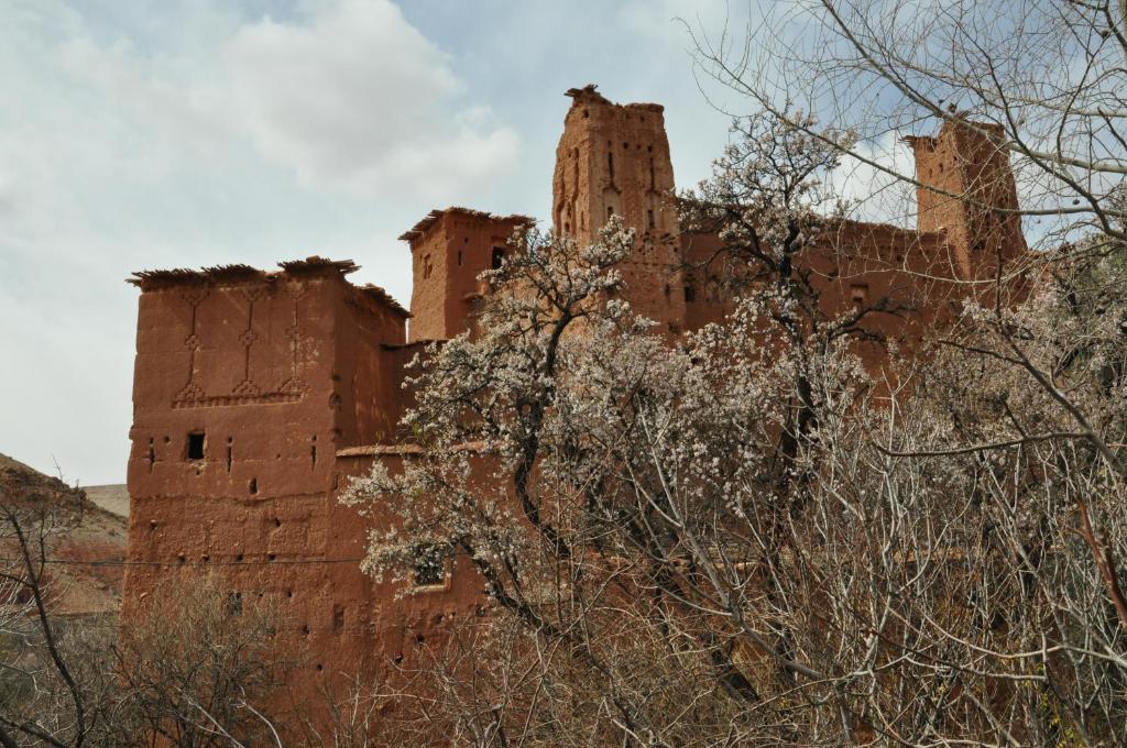 Kasbah Tigmi N'Oufella Bed & Breakfast Telouet Exterior foto